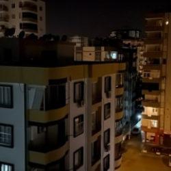 Adana'da deli eden cırcır b&ouml;ceği! Vatandaşa uyku haram oldu