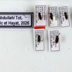 Erzurum&rsquo;da yeni bir t&uuml;r keşfedildi: Profes&ouml;r &ouml;len oğlunun adını verdi