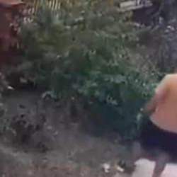 İzmir'de k&ouml;peğini gezdiren şahsın yavrulu kediye tekmeli saldırısı kamerada