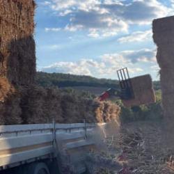 Tekirdağ'da feci kaza! 500 kiloluk saman balyaları can aldı