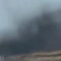 Orman yangını zannettiler, sivrisinek bulutu &ccedil;ıktı! Rusya'da şoke eden anlar kamerada