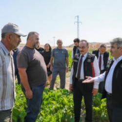 T&Uuml;RKŞEKER yeni &uuml;retim hedefini a&ccedil;ıkladı: 14 fabrika 85 milyonun malıdır