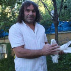 Uzun yol şof&ouml;r&uuml;n&uuml;n sıra dışı g&uuml;vercin tutkusu: Değeri dudak u&ccedil;uklattı