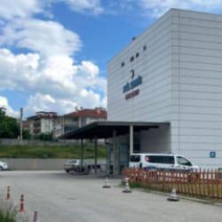 Kastamonu&rsquo;da acı olay! Arı sokan orman iş&ccedil;isi hayatını kaybetti