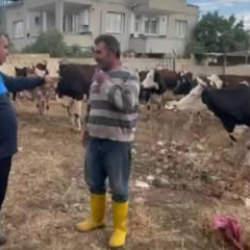 Besicinin aldığı &ouml;nlem işe yaradı! Gaziantep'te kaybolan 17 b&uuml;y&uuml;kbaş bulundu