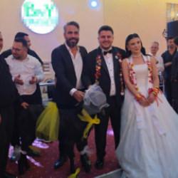 Adana'da d&uuml;ğ&uuml;ne damga vuran takı! Gelin ve damada ke&ccedil;i hediye edildi