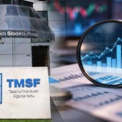 TMSF'den Destek Yatırım Bankası kararı: Yeni y&ouml;netim atandı