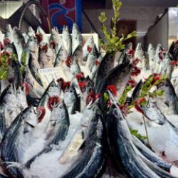 Palamut bolluğu başladı! Tanesi 100 TL'den satılıyor: Hamsi bu sezon az olacak