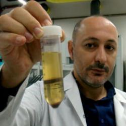 Yem olarak kullanılıyordu değeri katlandı: Y&uuml;zde 80 protein i&ccedil;eren toza d&ouml;n&uuml;ş&uuml;yor