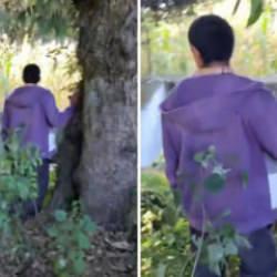 Ormandaki garip &ccedil;ığlık sesinin altından mahsur kalmış dev ayı &ccedil;ıktı