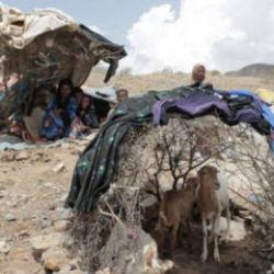 Yemen&rsquo;de &ccedil;atışmalar şiddetlendi: İnsani kriz b&uuml;y&uuml;yor
