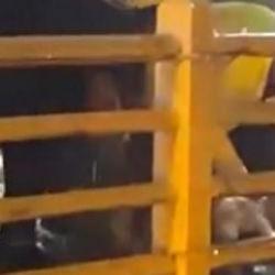 Yalova'da sağanak! Yağmurun durması i&ccedil;in kurban kestiler