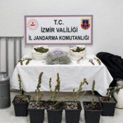 İzmir'de 5 kilo skunk ele ge&ccedil;irildi