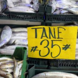 Strafor k&ouml;p&uuml;k kasasının fiyatı palamuttan 3 kat pahalı