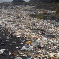 Zonguldak'ta sağanak sonrası denize s&uuml;r&uuml;klenen &ccedil;&ouml;pler kıyıya vurdu