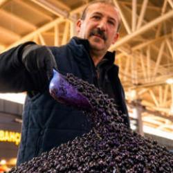 Bedava toplanıyor, tezg&acirc;hta kilosu 100 TL! Tansiyon ve kolesterol i&ccedil;in de t&uuml;ketiliyor