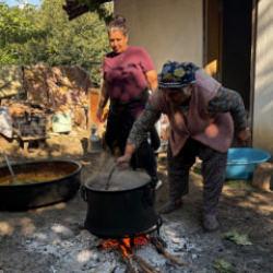 Atadan kalma y&ouml;ntem! Kurutulan incirler  asla bozulmuyor