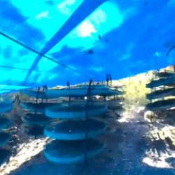 İzmir merkezli 2 ildeki uyuşturucu operasyonunda 12 g&ouml;zaltı