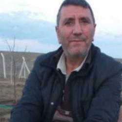 Kesilen ağacın altında kalıp yaşamını yitirdi