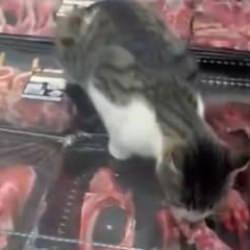 Zincir marketteki g&ouml;r&uuml;nt&uuml;ler denetimi harekete ge&ccedil;irdi: İşletmeye ağır ceza 
