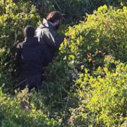 Samsun'da ka&ccedil;ak avcılık! 1 milyon 566 bin TL ceza kesildi