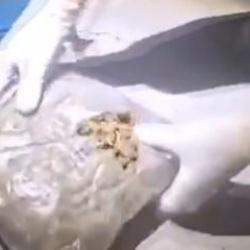 Siirt&rsquo;te 5 kilo 700 gram skunk ele ge&ccedil;irildi; 6 g&ouml;zaltı