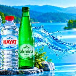 Sırma, Hayat, Akmina... &Uuml;&ccedil; &uuml;nl&uuml; marka da satıldı! İşte yeni alıcısı