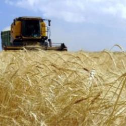 TARSİM 478 bin hasar ihbarı aldı: Tarımda 1,5 trilyon TL'lik g&uuml;vence