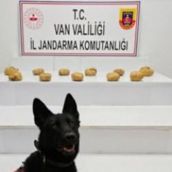 Van'da zehir tacirlerine dev darbe! 11 kilo 958 gram toz esrar ele ge&ccedil;irildi