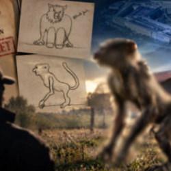 Yeni UFO dosyaları yayınlandı! Tanıklar iki ayaklı yaratıkları anlattı!