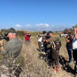 İlk kez Antalya'da g&ouml;r&uuml;nt&uuml;lendi: Fotoğrafını &ccedil;ekmek isteyenler b&ouml;lgeye akın ediyor