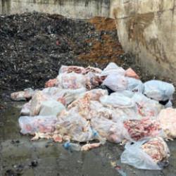 Domuz eti tespit edilen 2,6 ton sucuk imha edildi
