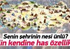 81 ilin kendine has özellikleri