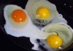 Hangi renkteki yumurta daha sağlıklı?