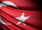 Amerikalı ekonomistlerden Türkiye'ye övgü