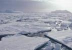 Antartika için felaket senaryosu