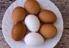 Tavuk yumurtası üretimi azaldı