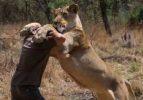 Bir aslan saldırısından kurtulmanın yolları