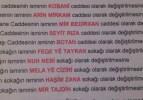Cizre'de cadde ve sokak isimleri K&uuml;rt&ccedil;e oldu