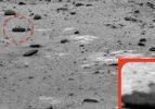 Mars'ta kertenkele iddiası ortalığı karıştırdı
