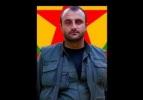 PKK'nın Hakkari bölge sorumlusu öldürüldü