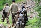 PKK'ya ilaç taşıyan 4 terörist tutuklandı
