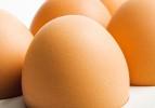 Taze Yumurta Nasıl Anlaşılır?