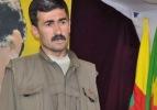 Tunceli'de PKK'nın üst düzey yöneticisi öldürüldü