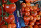 Taze sebze ihracatını "domates" sırtladı
