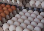 Yumurta fiyatları eylülde yüzde 15 zamlandı