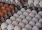 Yumurta üreticileri 250 için seferber oluyor
