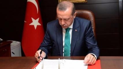 Erdoğan'da 'jet hızıyla' onay