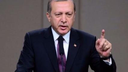 Erdoğan: O projeyi yapacağız