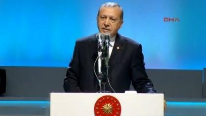 Erdoğan'dan Merkel ve Özdemir'e  sert eleştiri